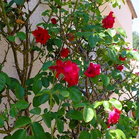 Bed & Breakfast Jolie Sur Piscine Torderes