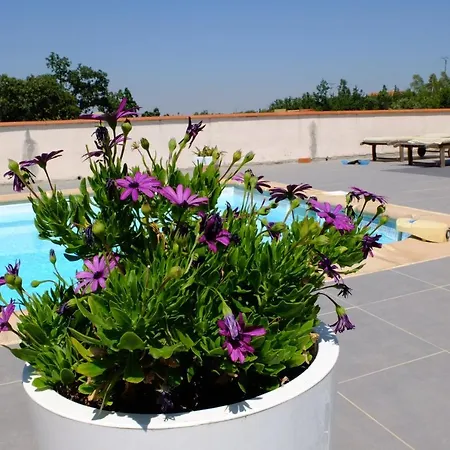 Jolie Sur Piscine